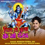 Dill Se Bula Ke To Dekh