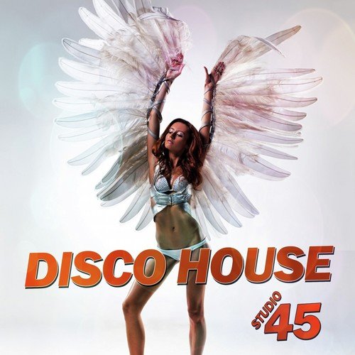 Disco House Studio 45