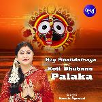 Hey Anandamaya Koti Bhubana Palaka