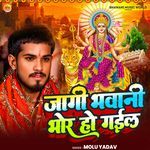 Jagi Bhawani Bhor Ho Gail