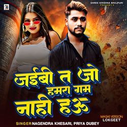 Jaibi Ta Jo Hamra Gam Nahi Hau