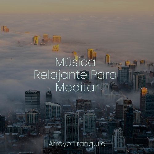 Oasis De Tranquilidad cover art