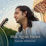 Maa Agyan Harani artwork