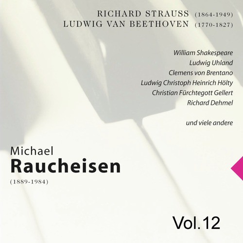 Michael Raucheisen Vol. 12