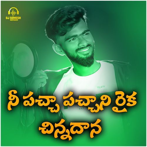 Ne Pacha Pachani Raika Chinnadhana cover art
