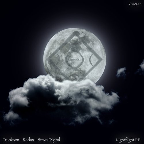 Flight (D. Diggler Remix) cover art
