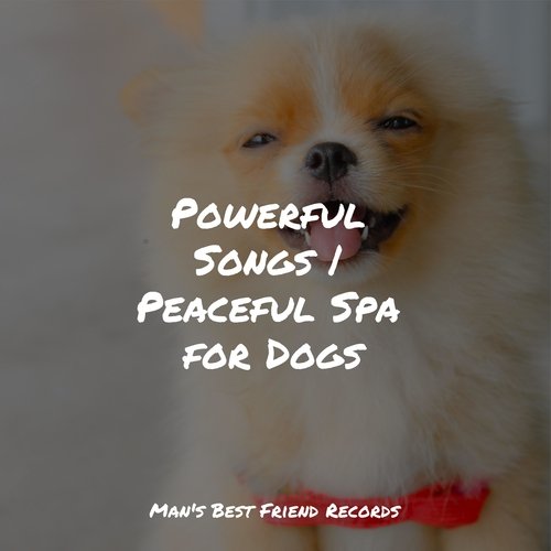 Meditating Music cover art