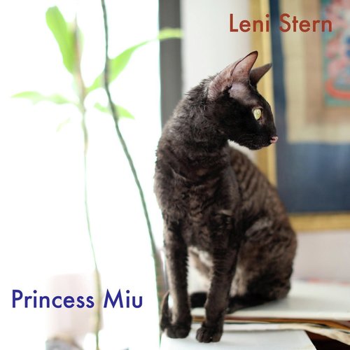 Princess Miu (feat. Leo Genovese, Alioune Faye & Mamadou Ba)_poster_image