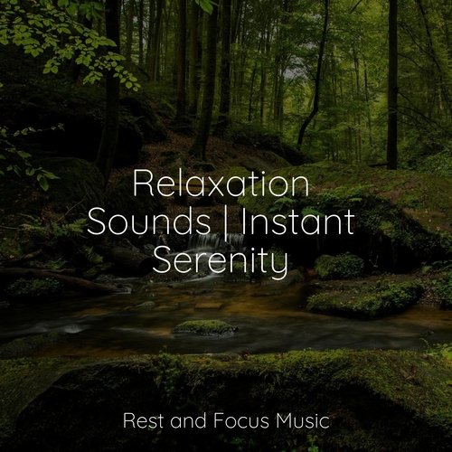 Relaxation Sounds | Instant Serenity