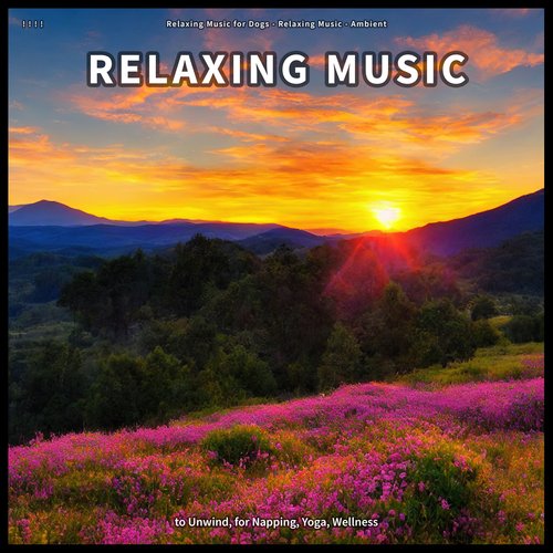 Pure Quiet Music