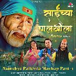 Sainchya Palkhila Mashup Part - 1