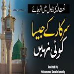 Sarkar Ke Jaisa Koi Nahi