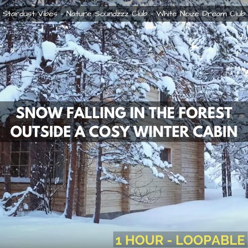 Snow Falling in the Forest Outside a Cozy Winter Cabin: One Hour (Loopable)_poster_image