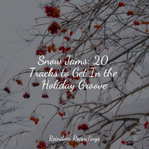 Snow Jams: 20 Tracks to Get In the Holiday Groove