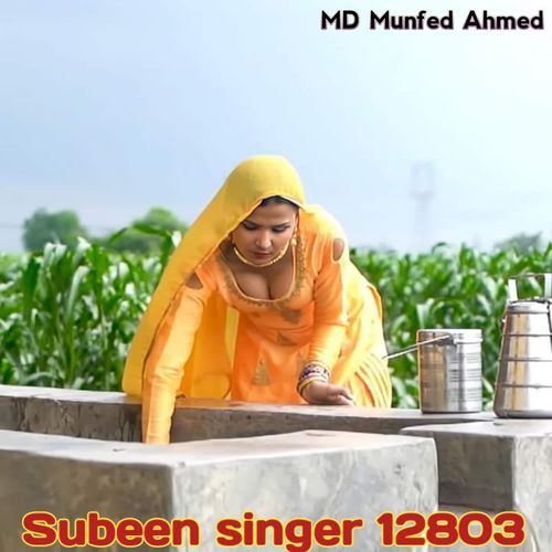 Subeen Singer 12803