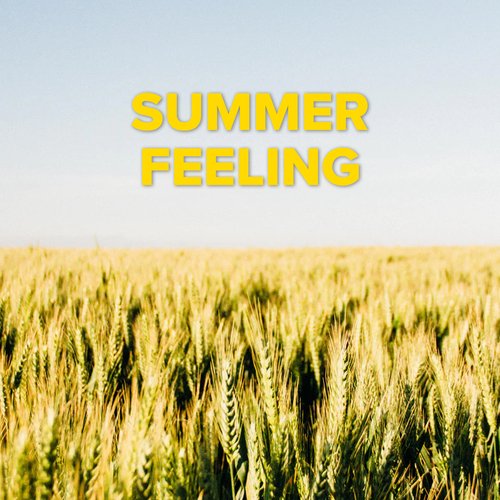 Summer Feeling_poster_image