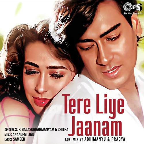 Tere Liye Jaanam (Lofi Mix)