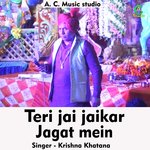 Teri jai jaikar jagat mein (Hindi)