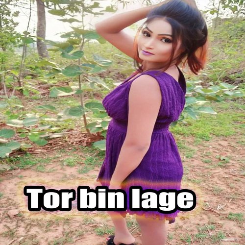 Tor bin lage