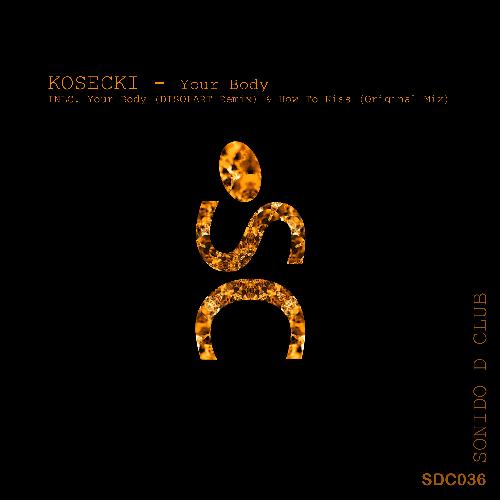 Your Body (Disolart Remix) cover art