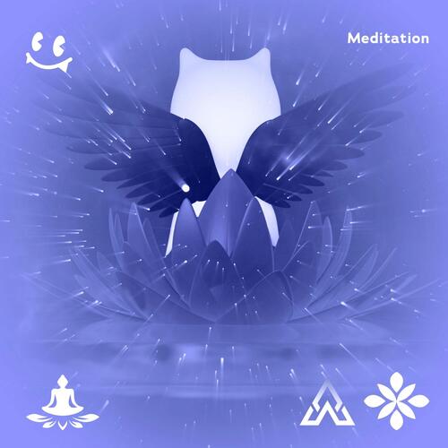 lucid meditation cover art