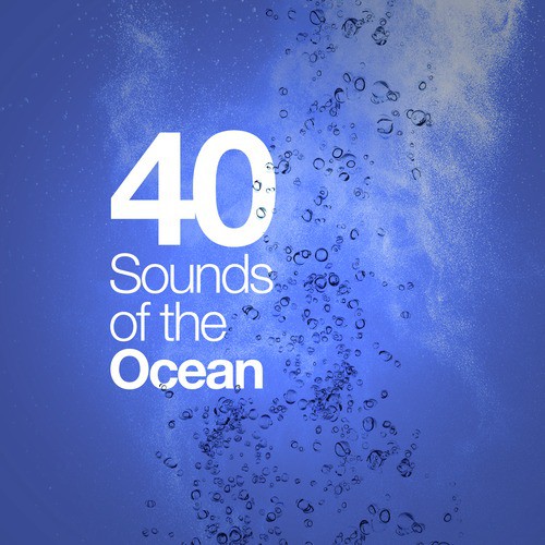 40 Sounds of the Ocean