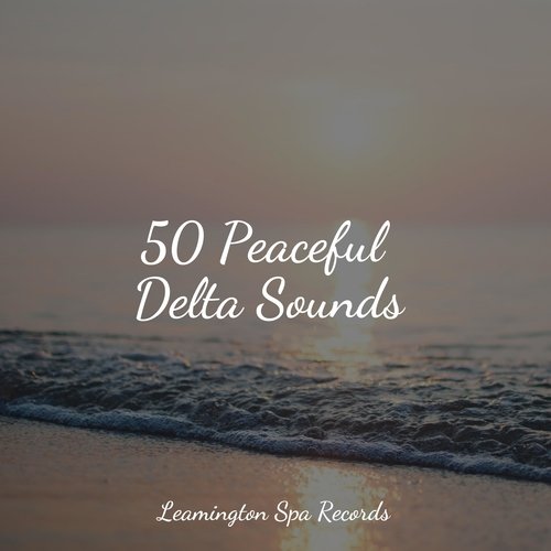 50 Peaceful Delta Sounds