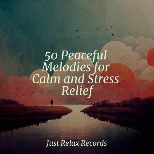 50 Peaceful Melodies for Calm and Stress Relief