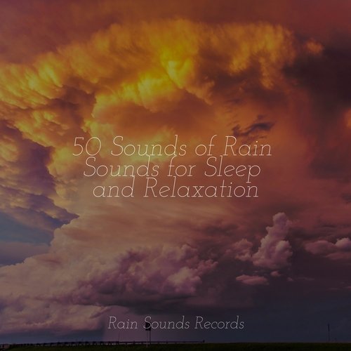 50 Sounds of Rain Sounds for Sleep and Relaxation_poster_image