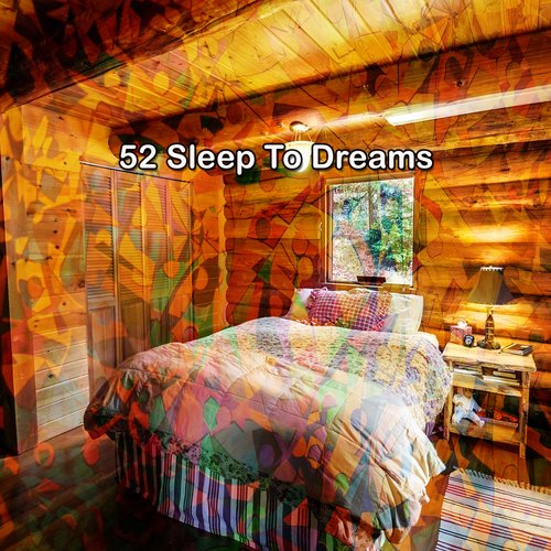 52 Sleep To Dreams_poster_image