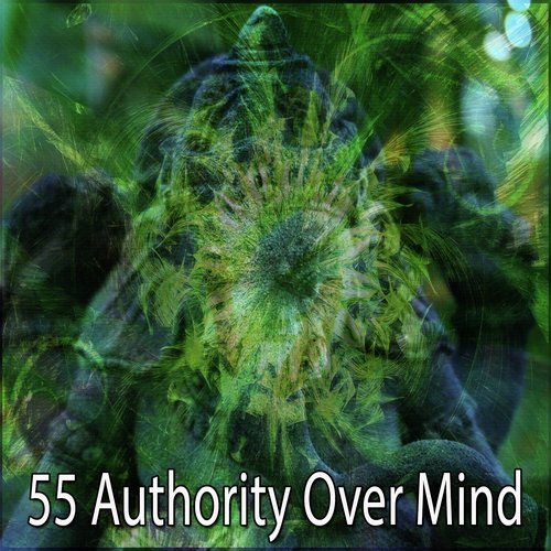 55 Authority over Mind_poster_image