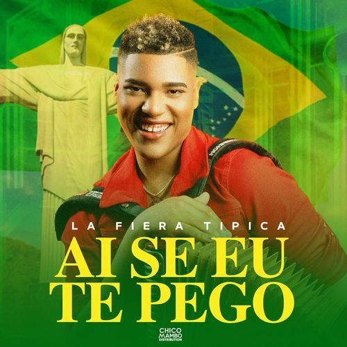 Ai Se Eu Te Pego
