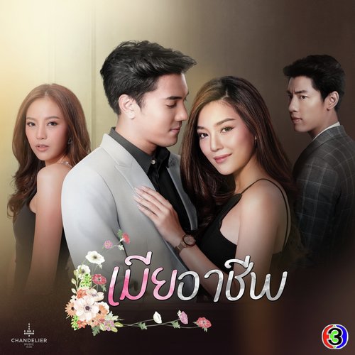 เพลงประกอบละคร เมียอาชีพ_poster_image