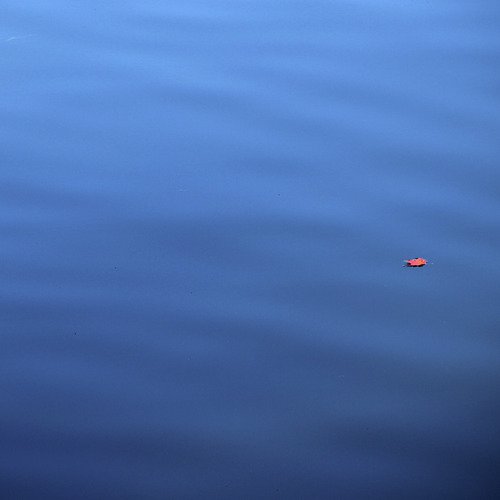 Biological Disintegration