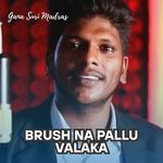 Brush Na Pallu Valaka