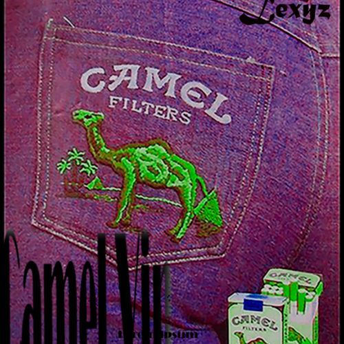 CAMEL VIP (Freestyle) cover art