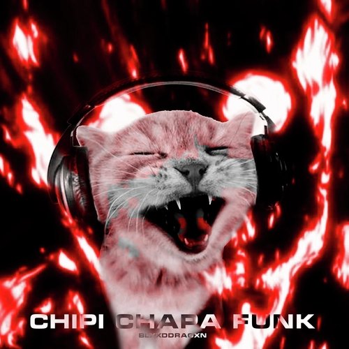 CHIPI CHAPA FUNK (SLOWED & REVERB)_poster_image