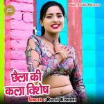 Chhaila Ki Kala Vishesh