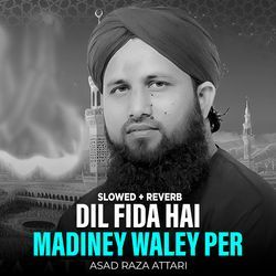 Dil Fida Hai Madiney Waley Per (Lofi-Mix)-FVAeRiRjQlU