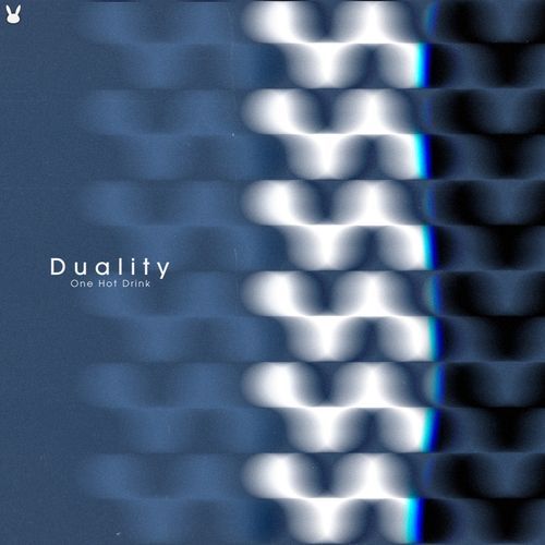 Duality