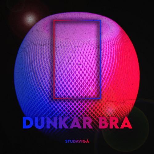 Dunkar Bra cover art