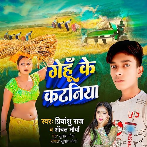 Gehu Ke Katania