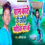 Ghas Kate Chhai Chhaudi Khoicha Bhar Ke