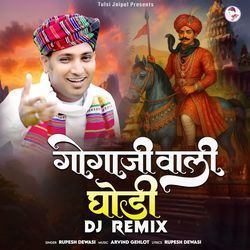 Gogaji Wali Ghodi D J Remix