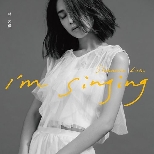 以後以後(《我和我的十七歲》片尾曲)