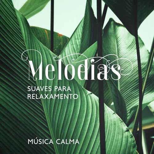 Massagem (Música Calma New Age) cover art