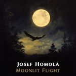 Moonlit Flight