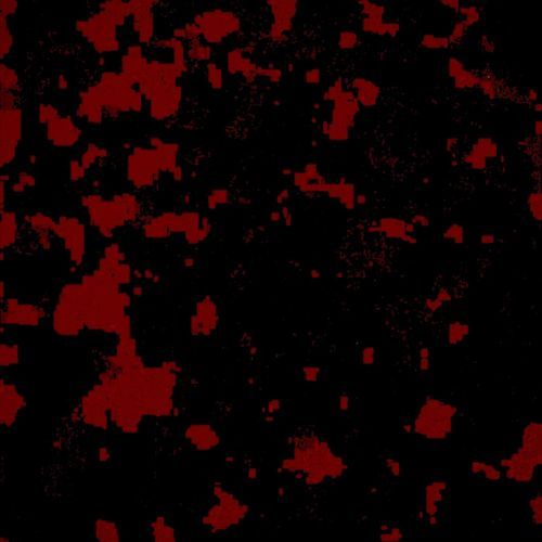 Feel My Pain cover art