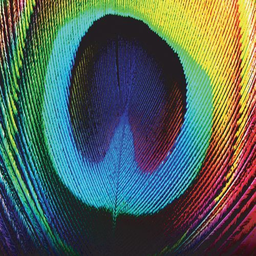 Modular-okv tunes