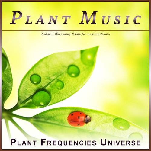 Plant Music cover art